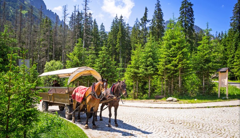 Morskie Oko Lake <span> 1/2 day private sightseeing tour </span> - 5 - Zakopane Tours